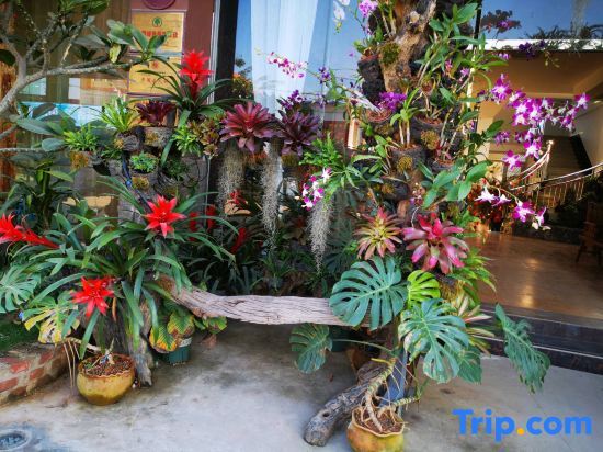 Цзинхун: Xishuangbanna Rainforest Flower Valley Hotel (Gasa International Airport)