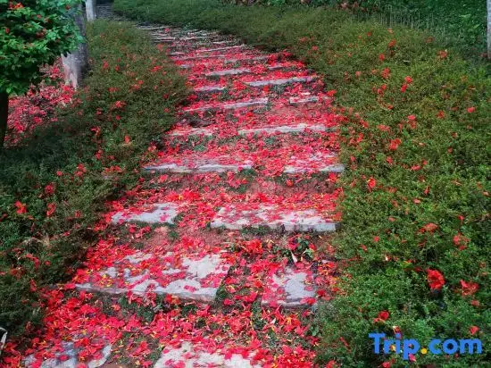 Цзинхун: Xishuangbanna Rainforest Flower Valley Hotel (Gasa International Airport)