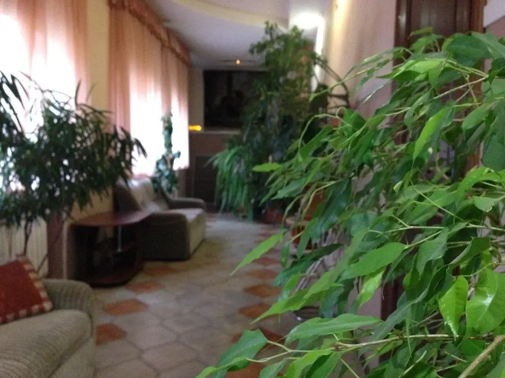 Астрахань: Дама с собачкой