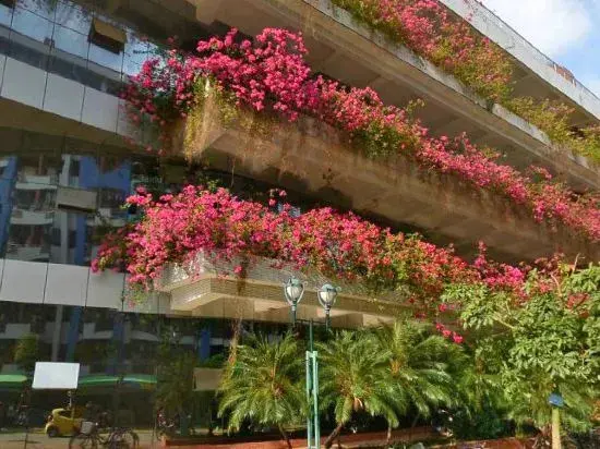 Чжаньцзян: Zhanjiang Sunshine Apartment