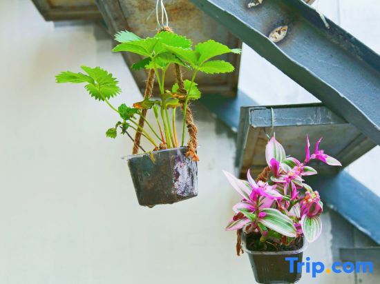 Кюнес: Nala Jacquard Garden Homestay