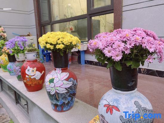 Шаоксинг: Xinchang Peak Qingshan Home stay