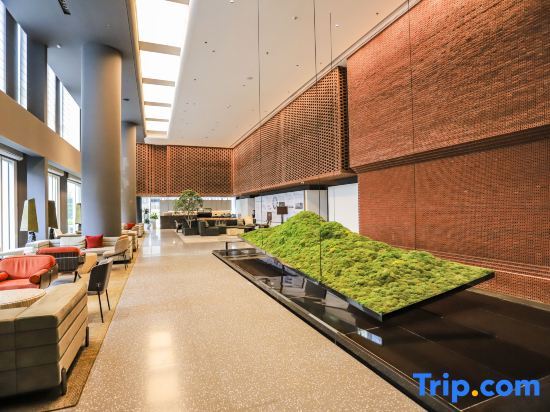 Шэньчжэнь: B T Miele Executive Apartment (Shenzhen Sungang Zhongzhouxuan Branch)