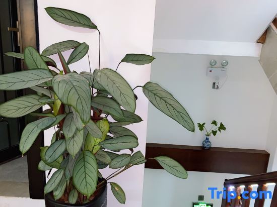 Линьань: Jianshui Bushe Homestay (Gucheng Branch)