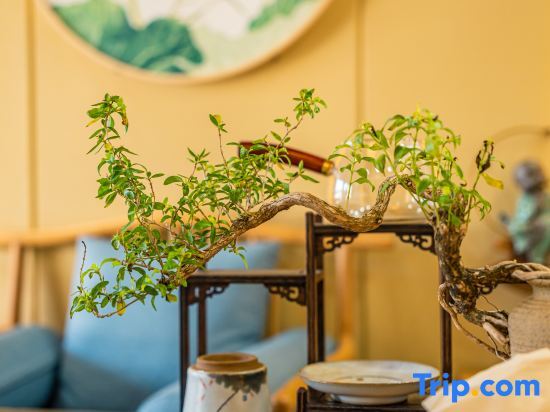 Дали: Such as to the boutique Guesthouse
