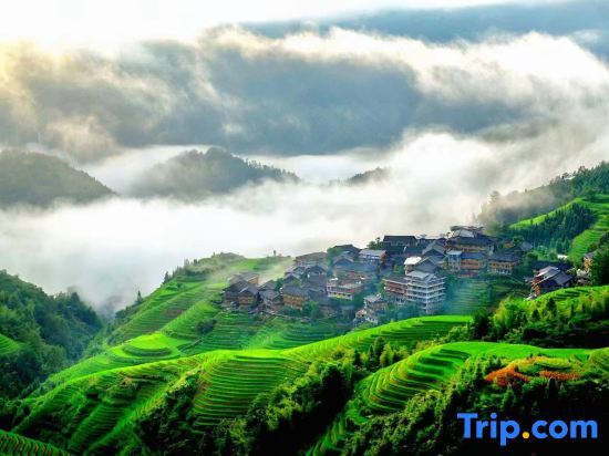 Longsheng: Longsheng Chujian Mountain House Homestay (Longji Terrace Observation Deck)