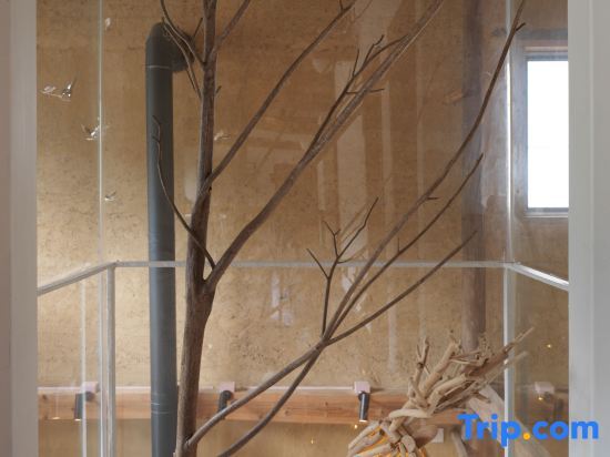 Ханчжоу: Xiaoyin Fanghua Guesthouse