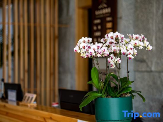 Далянь: Jiujiu Inn