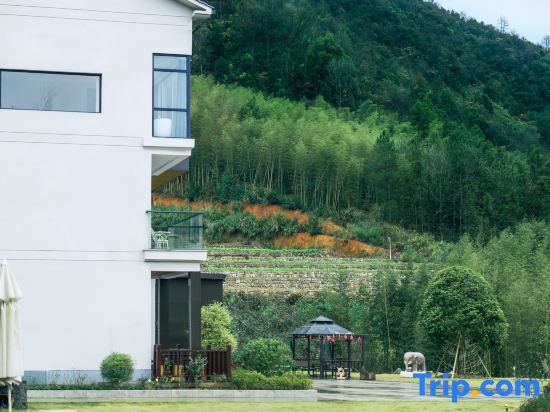 Ханчжоу: Yundu Lin'an Mountain Wild Resort Homestay (Daming Mountain Fengzhigu Branch)
