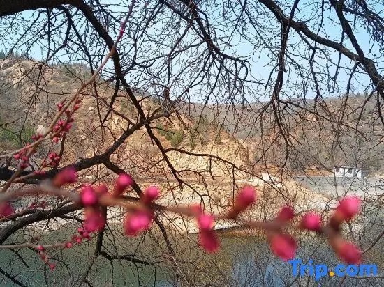 Шицзячжуан: Xibaipo Xiaohang Homestay