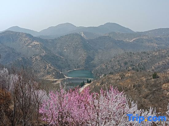 Шицзячжуан: Xibaipo Xiaohang Homestay
