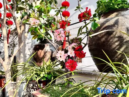 Тайчжоу: Rooftop Kejia Homestay