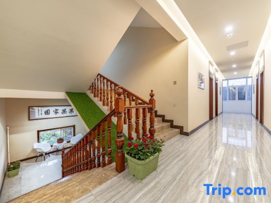 Тайюань: Guoguo Homestay