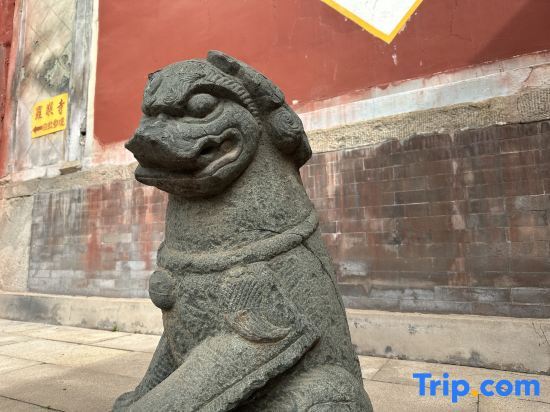 Синьчжоу: Fanyin Shuyuan Homestay (Wutaishan Wuye Temple Branch)