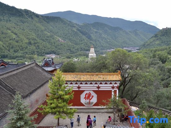 Синьчжоу: Fanyin Shuyuan Homestay (Wutaishan Wuye Temple Branch)