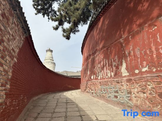 Синьчжоу: Fanyin Shuyuan Homestay (Wutaishan Wuye Temple Branch)