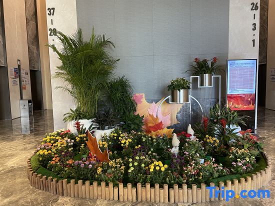 Шицзячжуан: Qianshe Light Residence Vientiane City Hotel