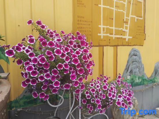 Вэйфан: Liuyuan Homestay (Qingzhou Ancient City Branch)
