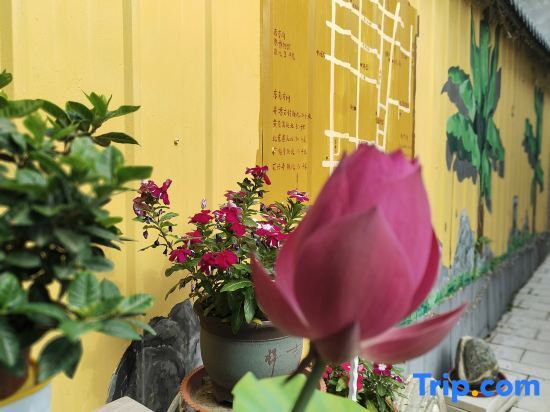 Вэйфан: Liuyuan Homestay (Qingzhou Ancient City Branch)