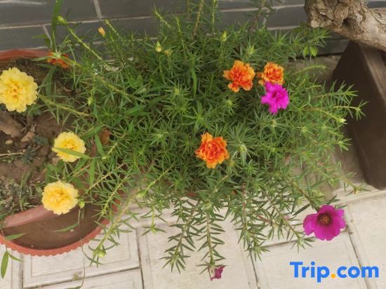 Вэйфан: Liuyuan Homestay (Qingzhou Ancient City Branch)