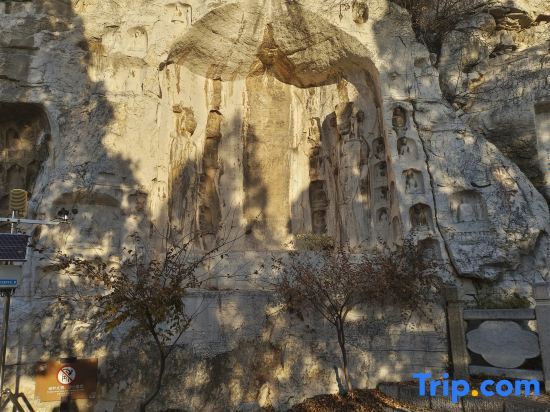 Вэйфан: Liuyuan Homestay (Qingzhou Ancient City Branch)