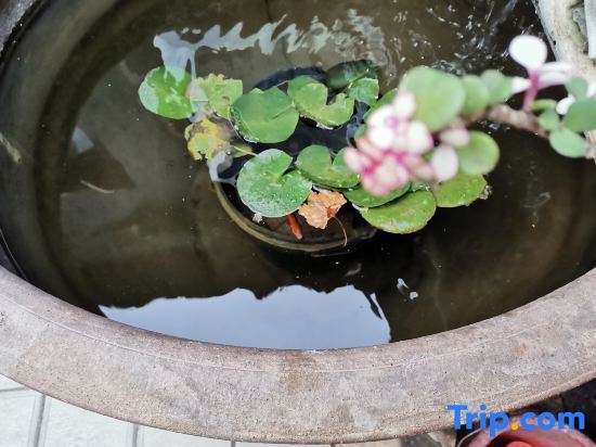 Вэйфан: Liuyuan Homestay (Qingzhou Ancient City Branch)