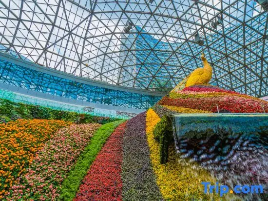 Куньмин: Lavender Garden, Howard Johnson International Hotel Kunming Flower City