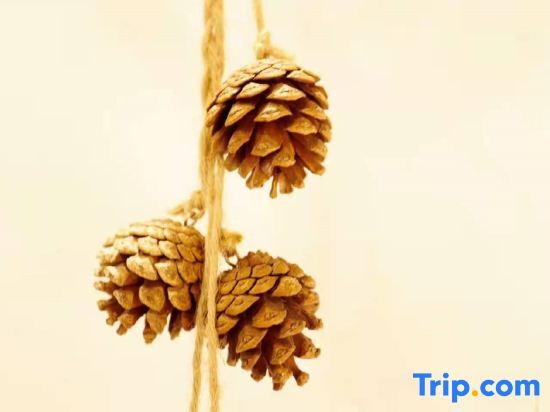 Ханчжоу: Misthu Shuangfeng Homestay (Hangzhou Guide Village Shop)