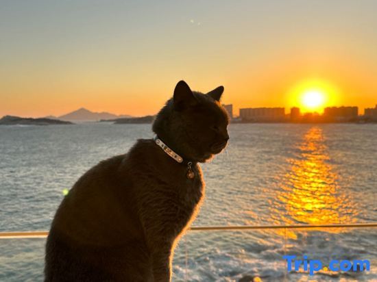 Жангжоу: Dongshan Xiyan Sea View Homestay