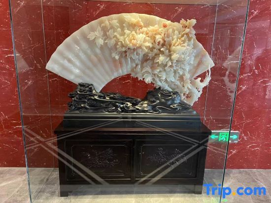 Харбин: Yulong Hotel (Harbin Taiping International Airport Branch)