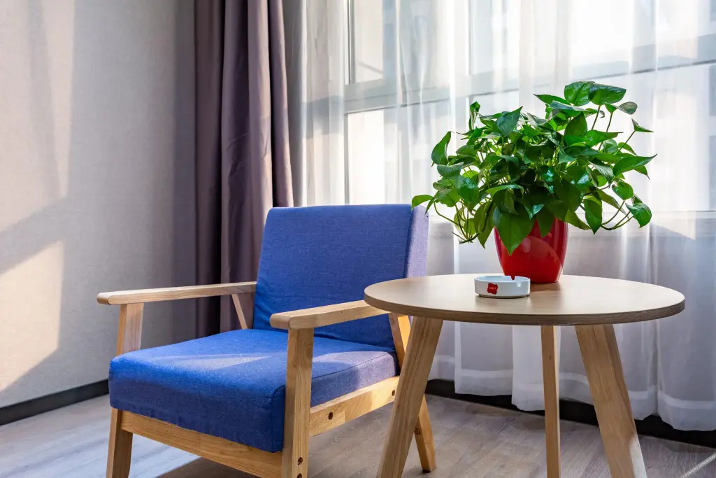 Чжоукоу: Thankyou Chain Hotel (Zhoukou Avenue City Government Store, Chuanhui District, Zhoukou)