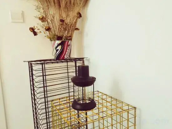 Цзюцзян: Jiujiang Sanqiu Homestay
