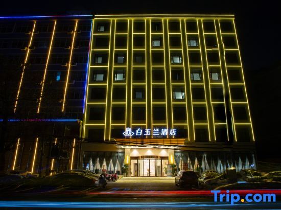 Наньян: MAGNOTEL (Dengzhou Zhongzhou Avenue)