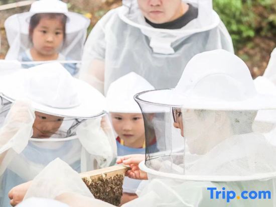 Хучжоу: Moganshan Flower Homestay