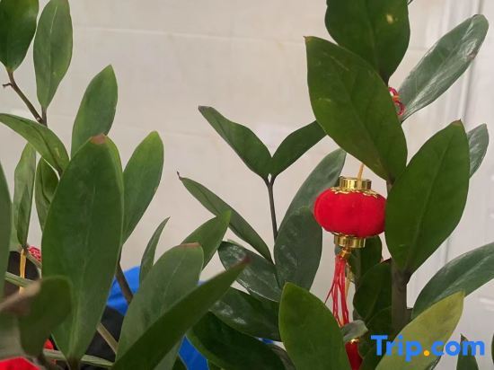Дунгуань: Dongguan Huiju Business Apartment