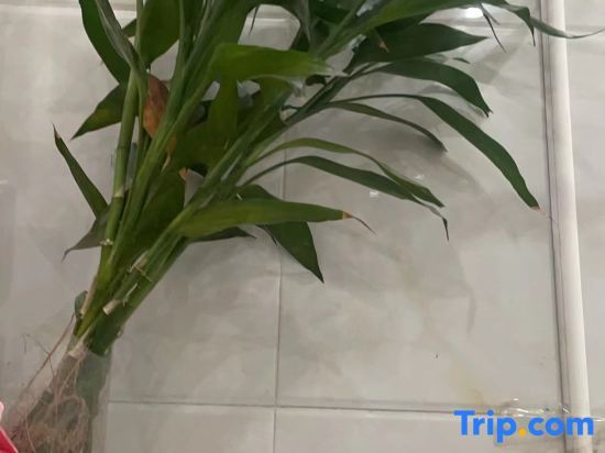 Дунгуань: Dongguan Huiju Business Apartment