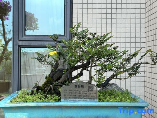 Чжухай: Atour Hotel Jinwan  Gaolan Port Zhuhai
