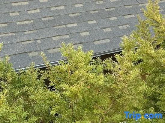 Цзилинь: SNOW Mountain Apartment WANKE LAKE SONGHUA RESORT