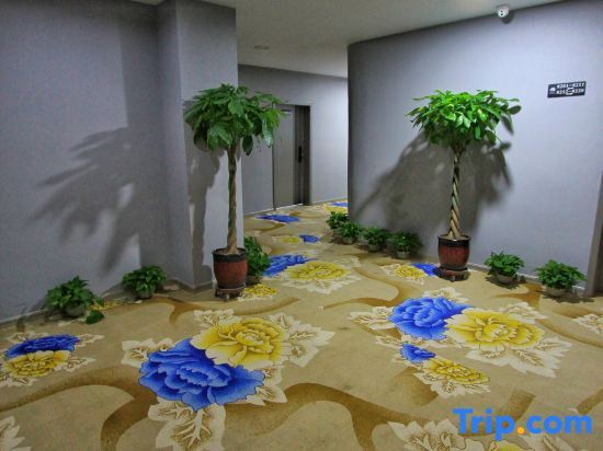 Ташкурган: Pearl Holiday Inn Tashkurgan Plateau