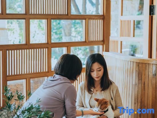 Хучжоу: Anji Junde Yuxiu Tangquan Holiday Homestay