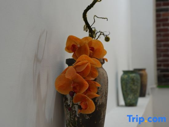 Цзиндэчжэнь: Xiangmo Homestay (Yuyao Jingxiang Branch)
