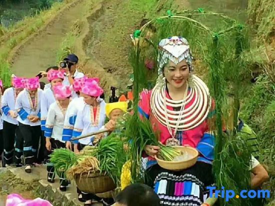 Longsheng: Tianyuan Homestay (Longji Terrace Jiulong Wuhu Observation Deck)