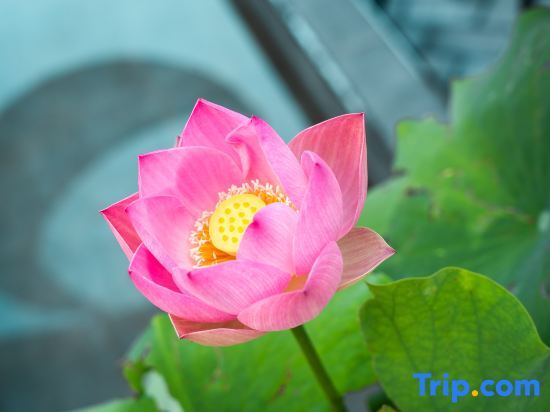 Пекин: Badaling Tianyuan Homestay