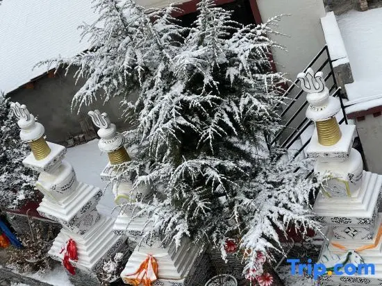 Цзючжайгоу: Snow Mountain Home · Tibetan Culture Photography and Food Experience Homestay