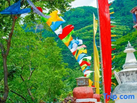 Цзючжайгоу: Snow Mountain Home · Tibetan Culture Photography and Food Experience Homestay