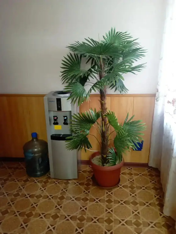 Сугат: Kemping Poklevskii