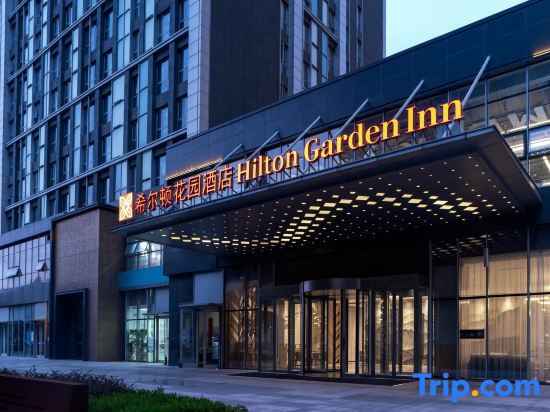 Hilton Garden Hotel, Binhu New District, Hefei — фото 1