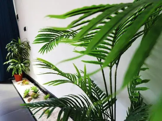 Тяньцзинь: Tianjin Yishanshui Homestay