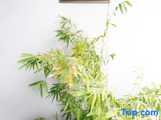 Нинбо: Ningbo Jianjie Meditation House (Fenghua Xikou Scenic Spot Buddhist Academy Store)