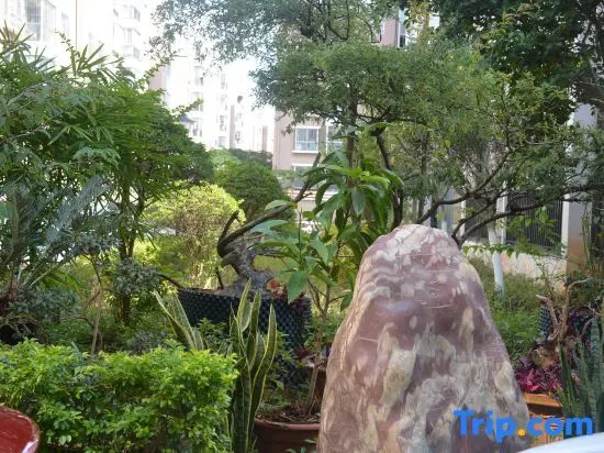 Цзяньшуй: Jianshui zhuwuqing  homestay